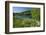 Germany, Weser Hills, Lower Saxony, Heinsen, Lake, Bath Bay, Shore, Marguerites-Chris Seba-Framed Photographic Print