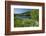 Germany, Weser Hills, Lower Saxony, Heinsen, Lake, Bath Bay, Shore, Marguerites-Chris Seba-Framed Photographic Print