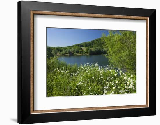 Germany, Weser Hills, Lower Saxony, Heinsen, Lake, Bath Bay, Shore, Marguerites-Chris Seba-Framed Photographic Print