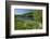 Germany, Weser Hills, Lower Saxony, Heinsen, Lake, Bath Bay, Shore, Marguerites-Chris Seba-Framed Photographic Print