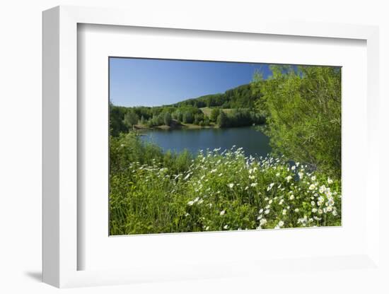 Germany, Weser Hills, Lower Saxony, Heinsen, Lake, Bath Bay, Shore, Marguerites-Chris Seba-Framed Photographic Print