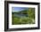 Germany, Weser Hills, Lower Saxony, Heinsen, Lake, Bath Bay, Shore, Marguerites-Chris Seba-Framed Photographic Print