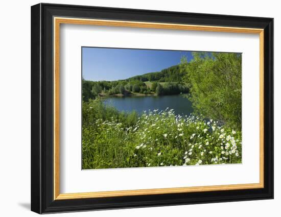 Germany, Weser Hills, Lower Saxony, Heinsen, Lake, Bath Bay, Shore, Marguerites-Chris Seba-Framed Photographic Print