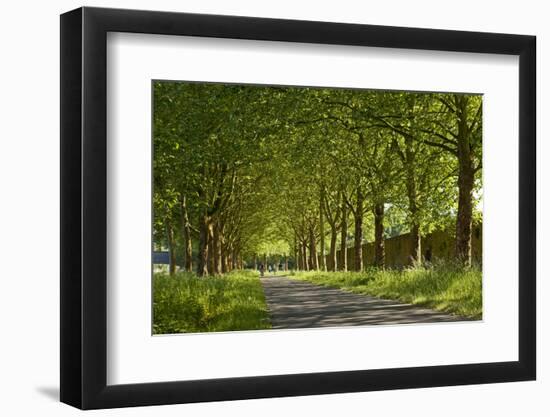 Germany, Weser Hills, North Rhine-Westphalia, Hšxter, Imperial Abbey of Corvey-Chris Seba-Framed Photographic Print