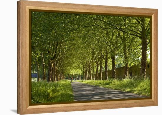 Germany, Weser Hills, North Rhine-Westphalia, Hšxter, Imperial Abbey of Corvey-Chris Seba-Framed Premier Image Canvas