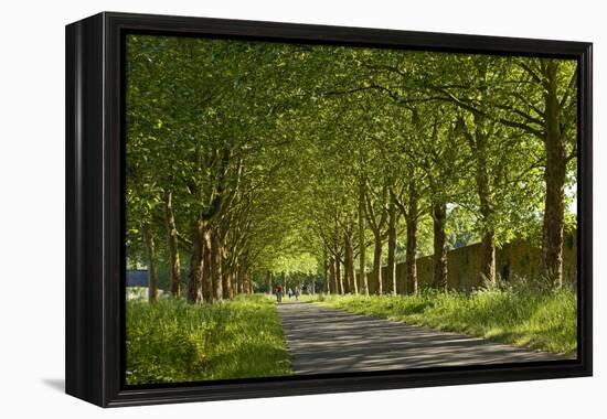 Germany, Weser Hills, North Rhine-Westphalia, Hšxter, Imperial Abbey of Corvey-Chris Seba-Framed Premier Image Canvas