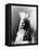 Geronimo (1829-1909)-Warren Mack Oliver-Framed Premier Image Canvas