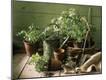 Premium Photographic Print
