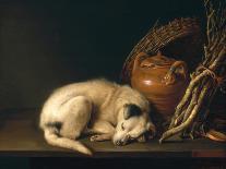 A Sleeping Dog with Terracotta Pot, 1650-Gerrit or Gerard Dou-Premier Image Canvas