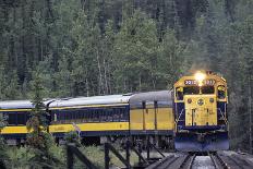 Alaska Railroad Train, Denali National Park, Alaska, USA-Gerry Reynolds-Photographic Print