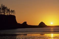 Sunset, Tule Elk Wildlife, Point Reyes National Seashore, California, USA-Gerry Reynolds-Framed Photographic Print