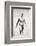 Gertrude Ederle, American swimmer, 1926-Unknown-Framed Photographic Print