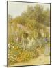 Gertrude Jekyll's Garden, Munstead Wood-Helen Allingham-Mounted Giclee Print