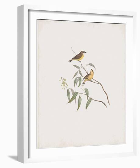 Gerygone Albogularis-John Gould-Framed Giclee Print