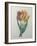 Gesner Tulip-Pierre-Joseph Redoute-Framed Art Print