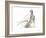 Gestural Figure Study II-Ethan Harper-Framed Art Print