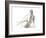 Gestural Figure Study II-Ethan Harper-Framed Art Print