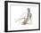 Gestural Figure Study II-Ethan Harper-Framed Art Print