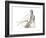 Gestural Figure Study II-Ethan Harper-Framed Art Print