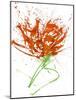 Gestural Florals 13-Paul Ngo-Mounted Giclee Print