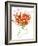 Gestural Florals 13-Paul Ngo-Framed Giclee Print