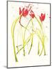 Gestural Florals 5-Paul Ngo-Mounted Giclee Print