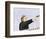 Get Carter-null-Framed Photo