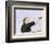 Get Carter-null-Framed Photo