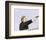 Get Carter-null-Framed Photo