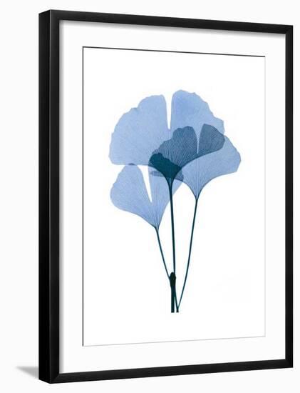 Get Growing I-Celebrate Life Gallery-Framed Giclee Print