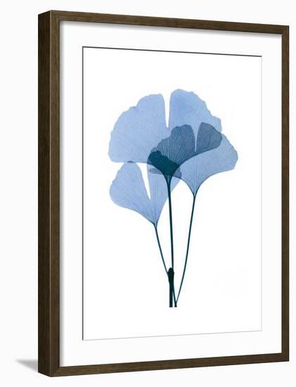 Get Growing I-Celebrate Life Gallery-Framed Giclee Print