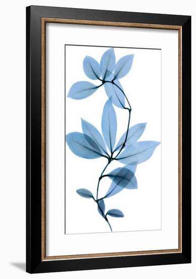 Get Growing II-Celebrate Life Gallery-Framed Giclee Print