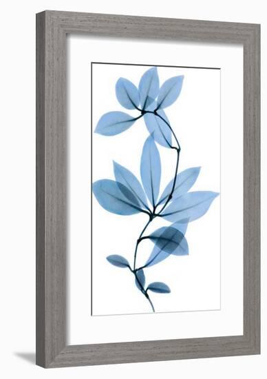 Get Growing II-Celebrate Life Gallery-Framed Giclee Print