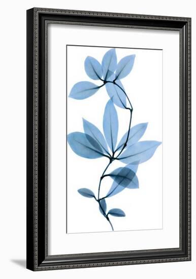 Get Growing II-Celebrate Life Gallery-Framed Giclee Print