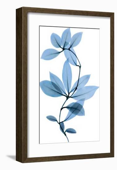 Get Growing II-Celebrate Life Gallery-Framed Giclee Print