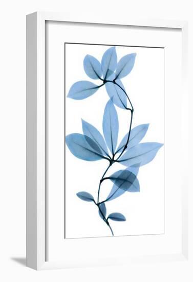 Get Growing II-Celebrate Life Gallery-Framed Giclee Print