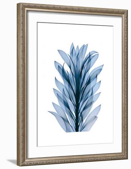 Get Growing III-Celebrate Life Gallery-Framed Giclee Print