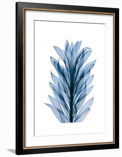 Get Growing III-Celebrate Life Gallery-Framed Giclee Print