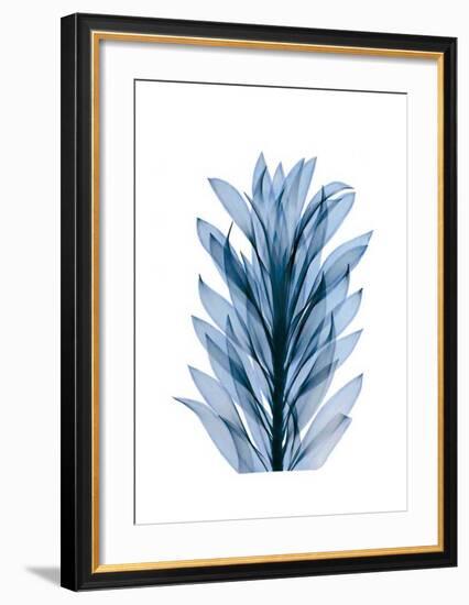 Get Growing III-Celebrate Life Gallery-Framed Giclee Print