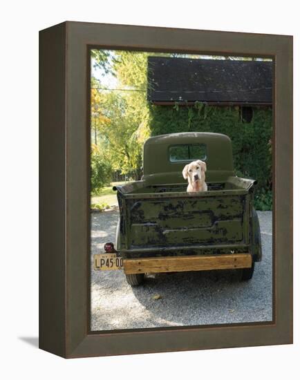 Get Out of Dodge Hunter Green-null-Framed Stretched Canvas