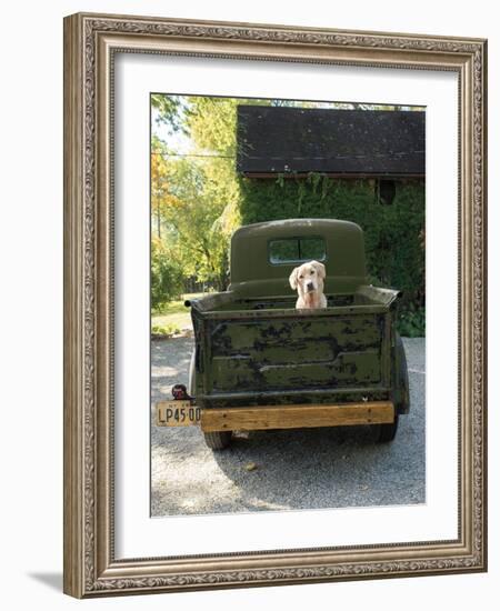 Get Out of Dodge Hunter Green-null-Framed Art Print