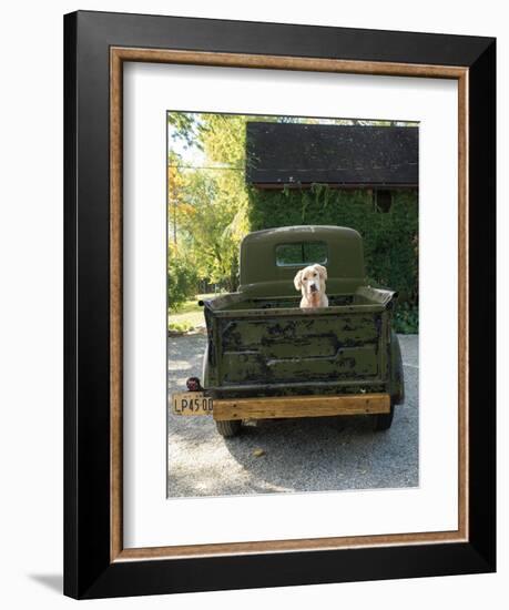 Get Out of Dodge Hunter Green-null-Framed Art Print