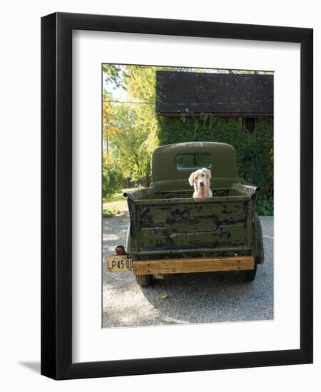 Get Out of Dodge Hunter Green-null-Framed Art Print