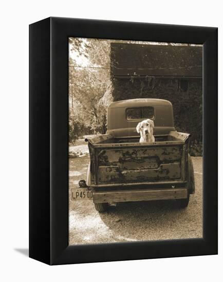 Get Out of Dodge-Jim Dratfield-Framed Stretched Canvas