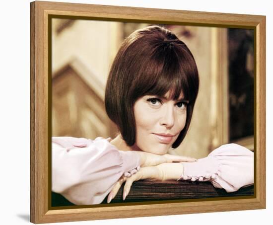 Get Smart-null-Framed Stretched Canvas