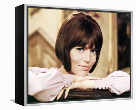 Get Smart-null-Framed Stretched Canvas