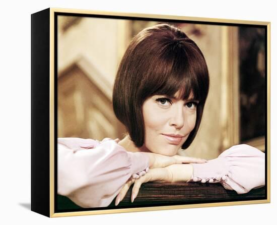 Get Smart-null-Framed Stretched Canvas