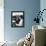 Get Smart-null-Framed Stretched Canvas displayed on a wall