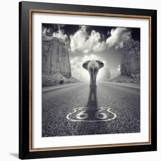 Get Your Tricks-Luis Beltran-Framed Photographic Print