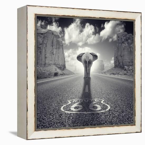 Get Your Tricks-Luis Beltran-Framed Premier Image Canvas